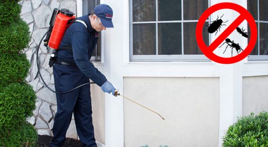 Oğuzlar Fare İlaçlama böcek ilaçlama ve haşere kontrolü — ilaclama-tr.com
